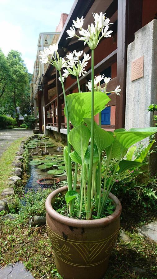 Monet Garden Coffee Farm Apartamento Chinan Exterior foto